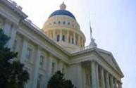 Baum Hedlund accepted an invitation from Senator Tom Torlakson to testify at the joint informational hearing of the California State Senate Health and Human Services Committee and the Statewide Task Force on Youth about suicide and antidepressant medications.